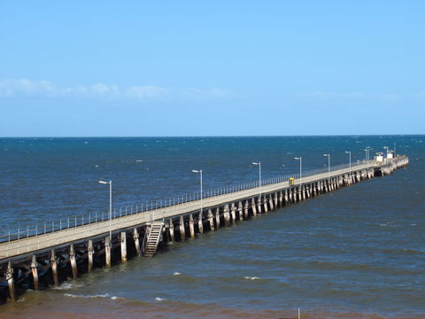 Ardrossan Seafood And Schnitzels - Accommodation Port Macquarie 1