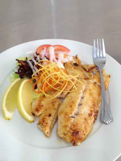 Fishy But Nice - Springfield - Accommodation Port Macquarie 0