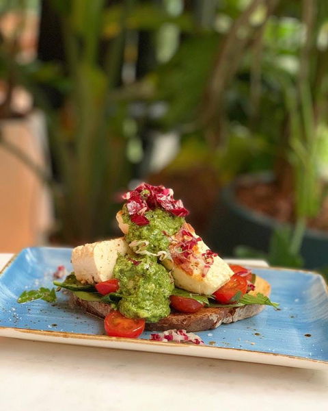 Green Moustache - Accommodation Port Macquarie 0