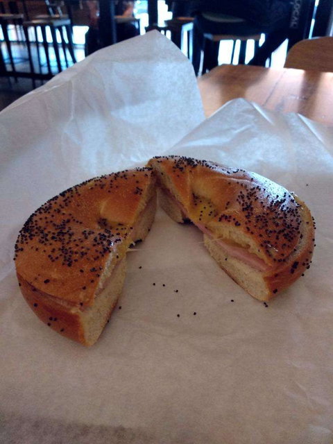 Toby's Estate - Accommodation Port Macquarie 0