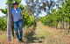Barton Estate Winery - thumb 1