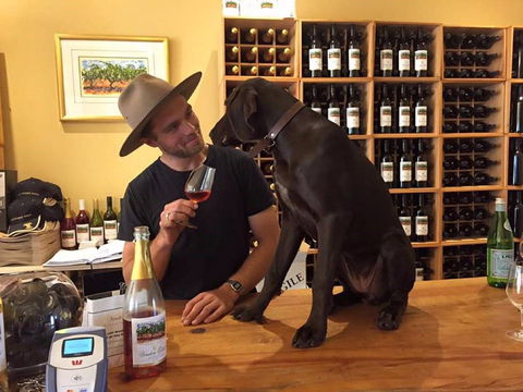 Vinden Estate Wines - Accommodation Port Macquarie 1