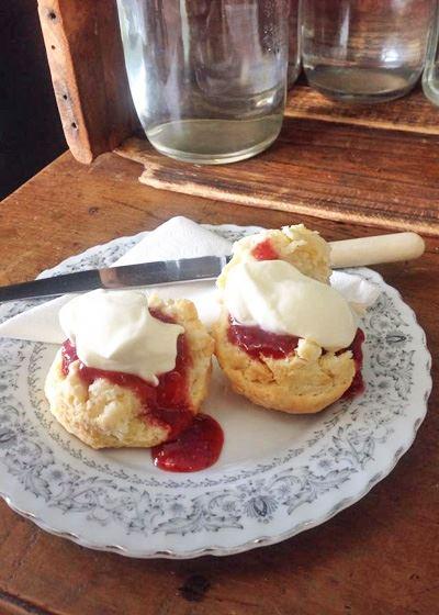 Delicatessen Kitchen - Accommodation Port Macquarie 8
