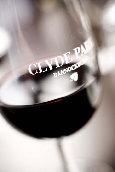 Clyde Park Vineyard & Bistro - Accommodation Port Macquarie 0