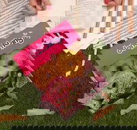 Donut King - Redcliffe - Accommodation Port Macquarie