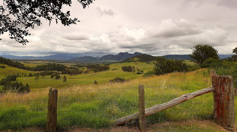 Faulls Ridge Winery - Accommodation Port Macquarie 1
