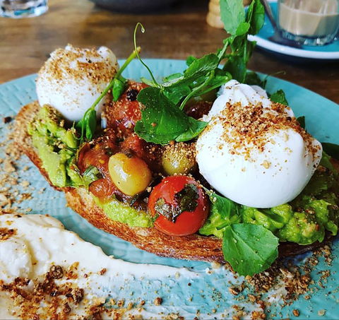 Fox And Bow - Accommodation Port Macquarie 0