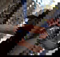 Wild Hop Brewing Company - Accommodation Port Macquarie