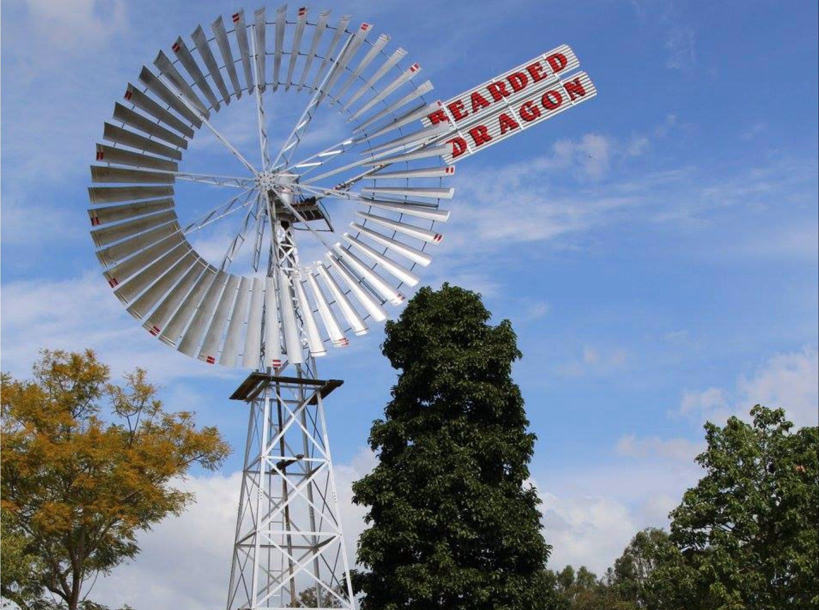 Tamborine QLD Accommodation Port Macquarie
