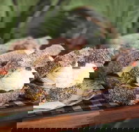 Bridge 2 Eden - Accommodation Port Macquarie