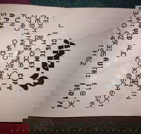 Bubba Pizza - Mount Barker - Accommodation Port Macquarie