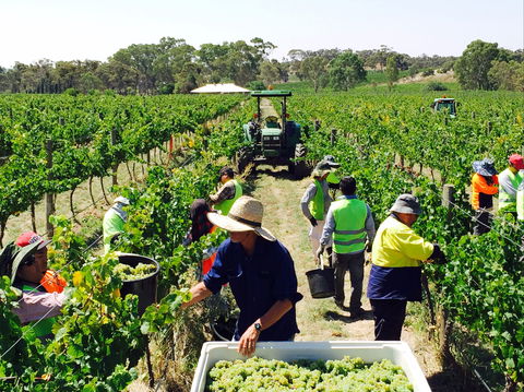 Grosset Wines - Accommodation Port Macquarie 1