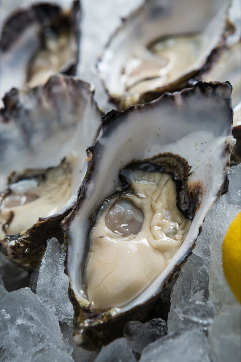 Lobster Shack Tasmania - Accommodation Port Macquarie 1