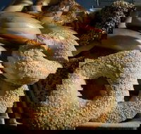 NYC Bagel Deli  Cafe - West End - Accommodation Port Macquarie