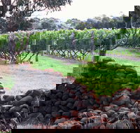 Spring Vale Vineyard - Accommodation Port Macquarie