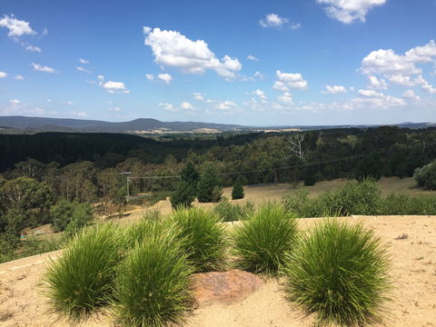 The Wine Collective - Accommodation Port Macquarie 0