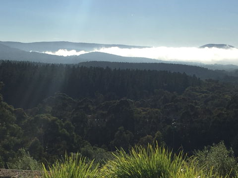 The Wine Collective - Accommodation Port Macquarie 1