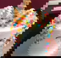 The Cake Gallery - Accommodation Port Macquarie