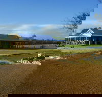 Thomson Brook Wines - Accommodation Port Macquarie