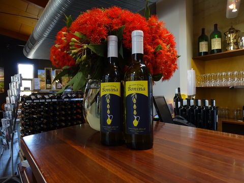 Bonina Olive Grove - Accommodation Port Macquarie 0