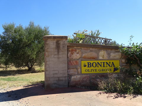 Bonina Olive Grove - Accommodation Port Macquarie 1
