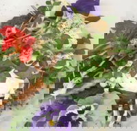 Just Earth - Accommodation Port Macquarie