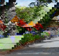 Oakdene Vineyards and Cellar Door - Accommodation Port Macquarie