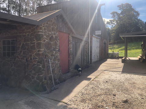 Wilmot Hills Orchard & Distillery - Accommodation Port Macquarie 1