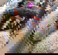 Arabella's Charcoal - Accommodation Port Macquarie