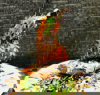 Cafe Bear and Scoobs - Accommodation Port Macquarie