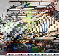 Hylin - Accommodation Port Macquarie