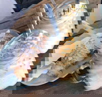 1982 Espresso - Subiaco - Accommodation Port Macquarie