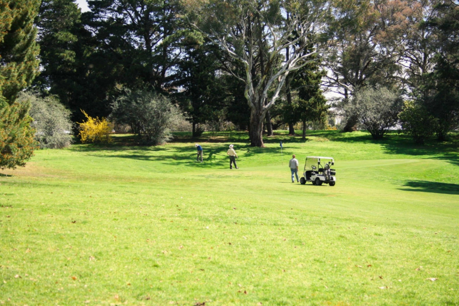 Bango NSW Accommodation Port Macquarie