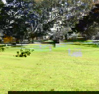 Restaurant at the Golfie - Accommodation Port Macquarie