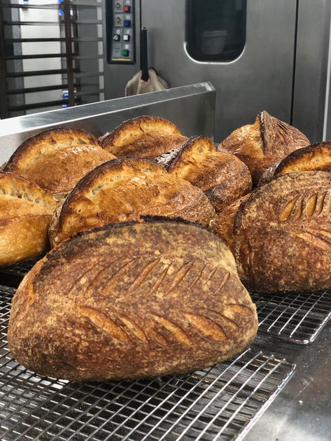 Samudera Artisian Food & Bakehouse - Accommodation Port Macquarie 0