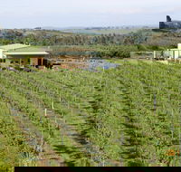 Dindima Wines