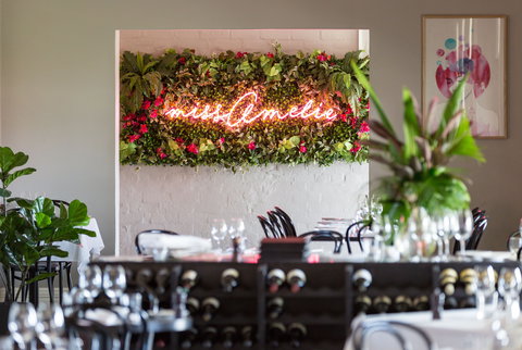 Miss Amelie & Little Miss - Accommodation Port Macquarie 0