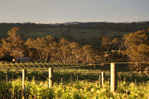 Max & Me Wine Tasting @ Eden Valley Hotel - Accommodation Port Macquarie 1