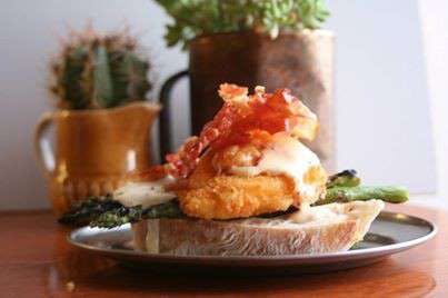 The Coughing Gherkin - Accommodation Port Macquarie 0