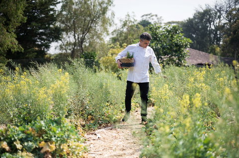 The Wild Flower Bar And Dining - Accommodation Port Macquarie 2