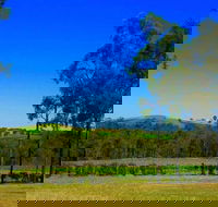 Degen Wines - Accommodation Port Macquarie