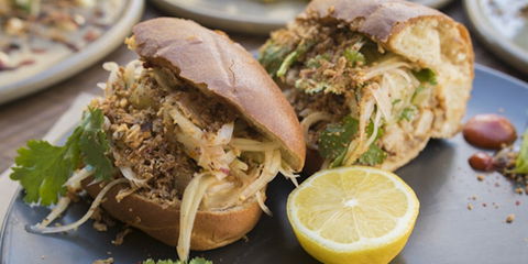 Mr Tuppy - Accommodation Port Macquarie 0