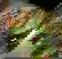 Taste Canowindra - Accommodation Port Macquarie