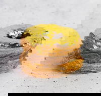 Goldeluck's Bakeshop - Croydon - Accommodation Port Macquarie