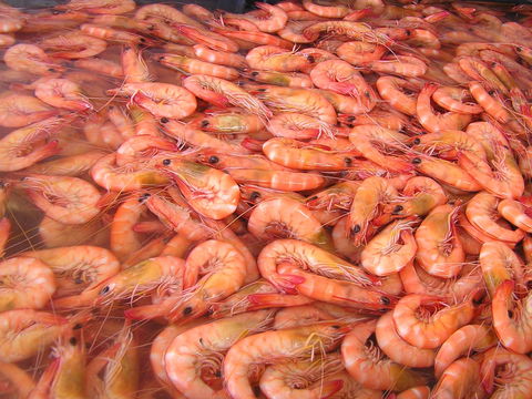 Grunske's By The River Seafood Market And Restaurant - Accommodation Port Macquarie 0