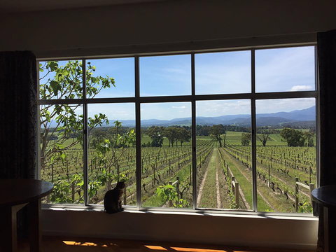 Yarra Yering - Accommodation Port Macquarie 2