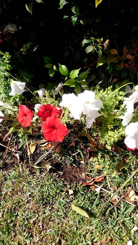 Gypsy's Table - Accommodation Port Macquarie 4