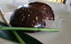 The Nook Cafe Shop - thumb 7