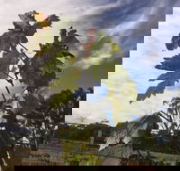 Banca Ridge Cellar Door and Vineyard - Accommodation Port Macquarie