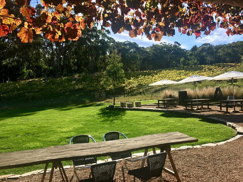 Deviation Road Winery - Accommodation Port Macquarie 0